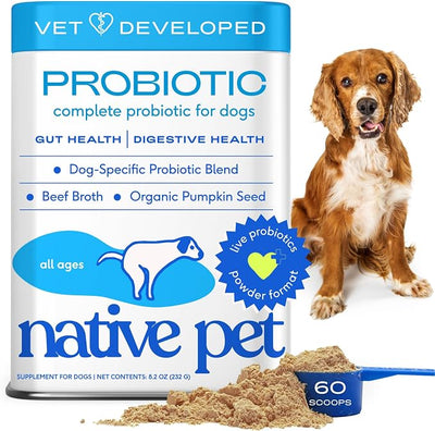 Native Pet Probiotics for Dogs – Dog Probiotic Powder for Gut & Digestive Health, Vet-Formulated 6B CFUs Dog-Specific Probiotic Strains, Supports Stool Quality & Diet Transitions – 60 Scoops