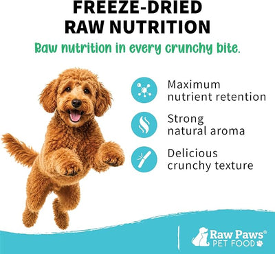 Raw Paws Smelt Freeze Dried Minnows for Cats & Dogs, 2-oz - Made in USA - Freeze Dried Fish for Cats - Single Ingredient Fish Dog Treats - Minnows Dog Treats