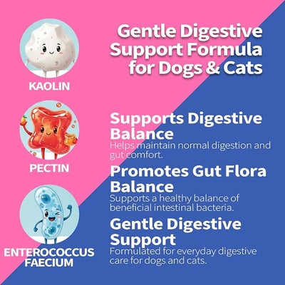 30cc-Anti-Diarrheal Support for Dogs & Cats –Digestive Relief Oral Paste with Kaolin, Pectin & Probiotics – Helps Soothe Upset Stomach & Firm Loose Stool