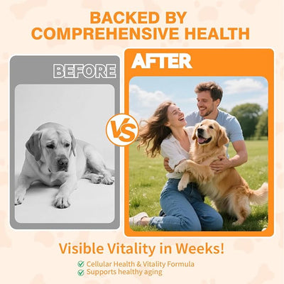 Mature Dog Vitality Drops with NMN,NAD+ & CoQ10-Longevity Supplement,Healthy Aging,Cellular Energy & Antioxidant Support -60ml（2 FL OZ）