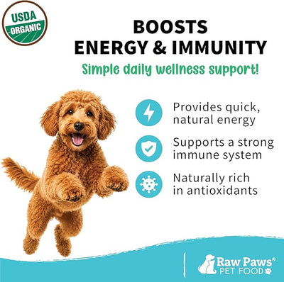 Raw Paws Virgin Organic Coconut Oil for Dogs & Cats (16-oz) - Skin & Coat | Dry Nose & Paw Balm - Itchy Skin Support - Hot Spot Care - Cat Hairball Support - Edible Pet Supplement