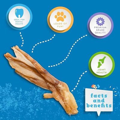 Jack&Pup Duck Feet for Dogs – All Natural Dog Chews, Single Ingredient Dehydrated Duck Feet Dog Treats – Great for Small & Medium Dogs (75 Count) Great Alternative to Chicken Feet