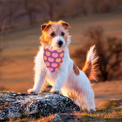 PTDECOR Fall Dog Bandana, Pink Pumpkin Design Reversible Holiday Dog Scarf, Triangle Thanksgiving Bandanas for Small Dogs Puppies Cats (Small)