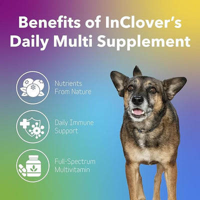 InClover Daily Multi Cat & Dog Vitamin - Canine & Feline Vitality Powder - Immunity Boost with Organic Blueberry, Seaweed, Turkey Tail Mushroom & Postbiotic Fibers