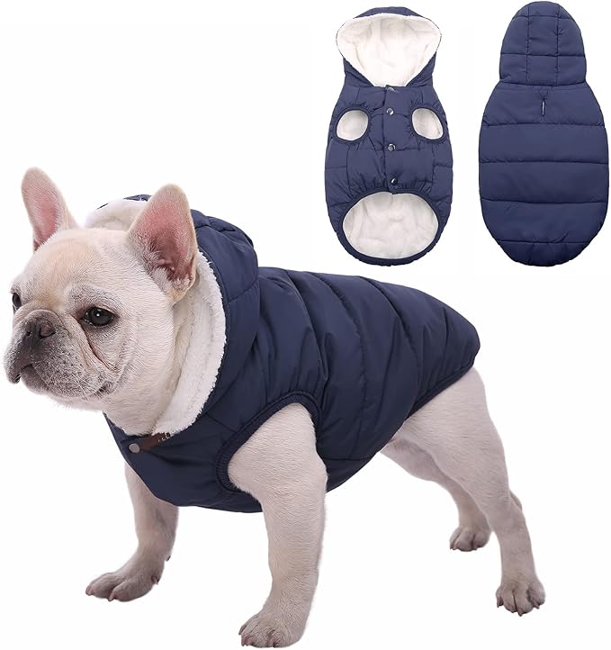 SAWMONG Waterproof Dog Winter Coat, Warm Fleece Lined Dog Jacket with Hood, Windproof Puppy Coat, Pet Apparel Vest Outdoor&Indoor Winter Activities(Blue,M)