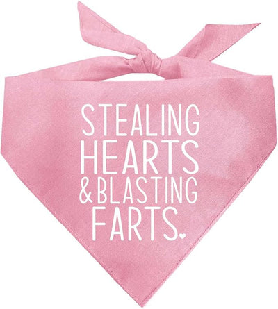 Stealing Hearts Blasting Farts Dog Bandana | 100% Cotton Adjustable Triangle | Made in USA | Valentine's Day | Cute & Funny |Baby Pink, X-Small (983)