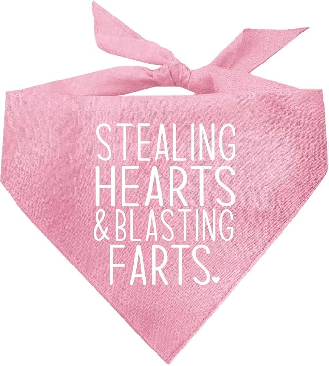 Stealing Hearts Blasting Farts Dog Bandana | 100% Cotton Adjustable Triangle | Made in USA | Valentine's Day | Cute & Funny |Baby Pink, One Size (983)