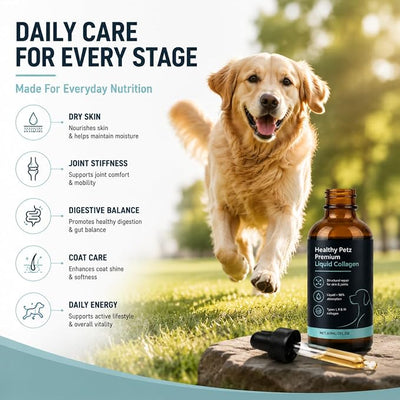 Healthy Petz Premium Liquid Collagen for Dogs, Supplement with Collagen, Hyaluronic Acid & Vitamins C, Support for Skin & Joints & Gut & Overall Vitality, 60ml/2FL OZ