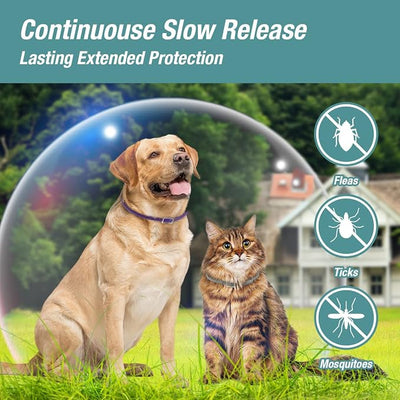 ZingZap Flea & Tick Collar 2-Pack Blue, Protects from Biting Insects, Adjustable Fits Both Dogs & Cats, Built-in Plant Based Formula, Slow-Release Lasting Protection, Waterproof