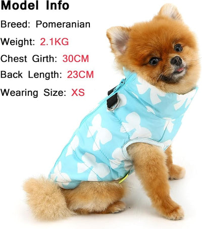 SMALLLEE_LUCKY_STORE Pet Water Resistant Winter Jacket Vest with D-Ring for Small Dog Cat Zip-up Padded Puppy Coat Chihuahua Yorkie Kitten Warm Clothes, Blue, M