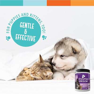 Digestive Enzymes for Dogs & Cats : Protein, Carbs, Starches & Fats Digestion : Supports Diet Change : Enzyme Miracle (364 Scoops, Powder)