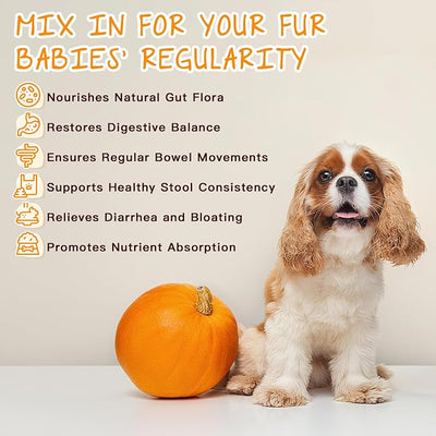 DRFOSTER Pumpkin Powder for Dogs - Fiber Supplements for Dogs & Cats with Organic Pumpkin, Apple, Carrots and Digestive Enzymes - Healthy Stool and Digestion, Diarrhea & Constipation Relief, 10.58 oz