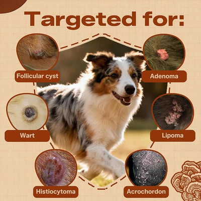 Turkey Tail Mushroom Extract for Dogs & Cats Lipoma Lumps Bumps Warts, | Boost Immunity, Young Weak & Senior & Low-Vitality & Post-Surgery Pets, with Chaga & Reishi Mushrooms Extract