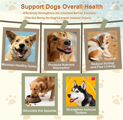 Dog Probiotic Soft Chews Support Gut Health Immunity, Diarrhea Gas Relief, Digestive Yeast Balance, Relieve Itchy Skin, with Pumpkin Blueberry, 6 Digestive Enzymes 4 Prebiotics 6 Probiotics for Dogs