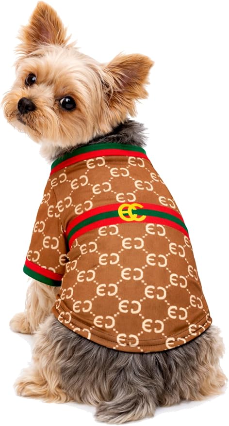 Luxury Designer Dog T Shirt – Trendy Puppy Clothes for Small Dogs, Fashion Pet Tee for French Bulldogs & Chihuahuas, Everything Chic Dog Apparel (GucchewiTee, Small)