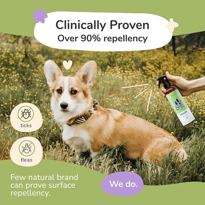 kin+kind Natural Flea and Tick Prevention for Dogs – Non-Greasy Coat Spray, Vet-Formulated, Lavender, 32 fl oz