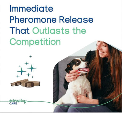 Virbac ZENIDOG® Long-Acting Collar for Dogs | Calming Pheromone Collar for Stress Relief - Pup/Small Dog - Lasts up to 3 Months