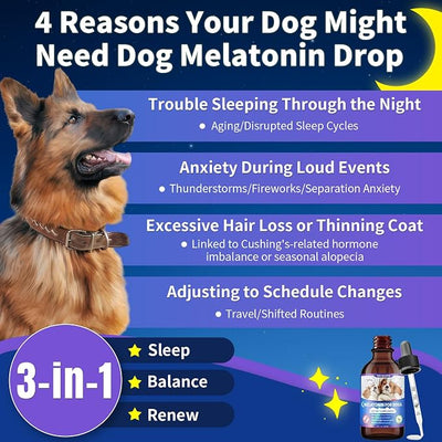 WEALLIN Melatonin for Dogs - Dog Melatonin with L-Theanine & Chamomile Bacon Flavor | Liquid Dog Melatonin with L-Theanine & Chamomile, Anxiety Relief & Calming, Relaxation & Sleep Support, Fast-Absorbing 120ML