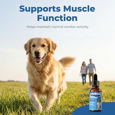 Taurine Supplement for Dogs Drops, Daily Amino Acid Liquid Drops for Heart Function, Muscle Support, Energy Balance & Physical Stability, 60 ml