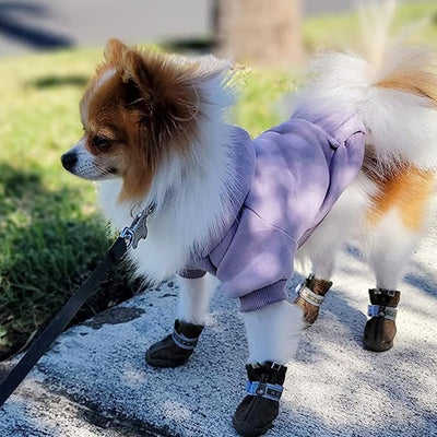 Jecikelon Soft Dog Hoodies for Small Dogs, Fleece Puppy Sweatshirt with Pockets, Warm Winter Cold Weather Coats for Pet Cat, Cute Clothes Puppy Costume (Purple, Medium)