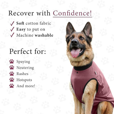 BellyGuard Dog Surgery Recovery Suit, Post-Op Dog Recovery Suit for Female Spay & Male Neuter, Comfy Onesie for Pets, Surgical Body Cover for Canine Healing Support