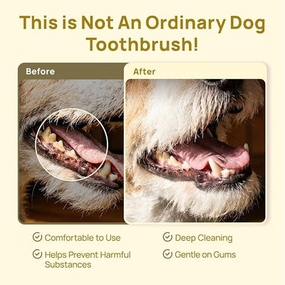HICC PET Toothbrush for Cats & Small Dogs, Vet-Recommended Ergonomic Pet Toothbrush for Easy Teeth Cleaning, Gentle on Gums, Cat & Dog Dental Care, Improves Oral Hygiene. Toothpaste Not Included
