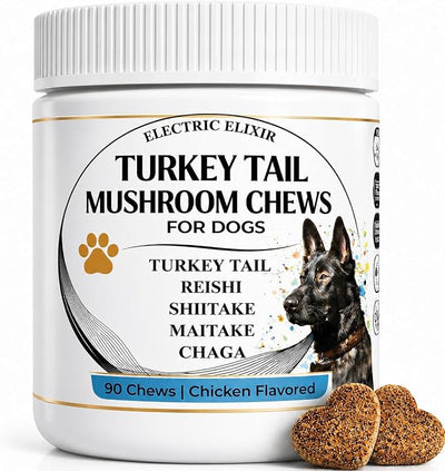 Turkey Tail Mushroom for Dogs - Organic Immune Support Chews - Buddy Health Guard Mushroom Blend - Boosts Immunity, Gut & Joint Health - Natural Chicken Flavor, Grain-Free Supplement - 90 Soft Chews