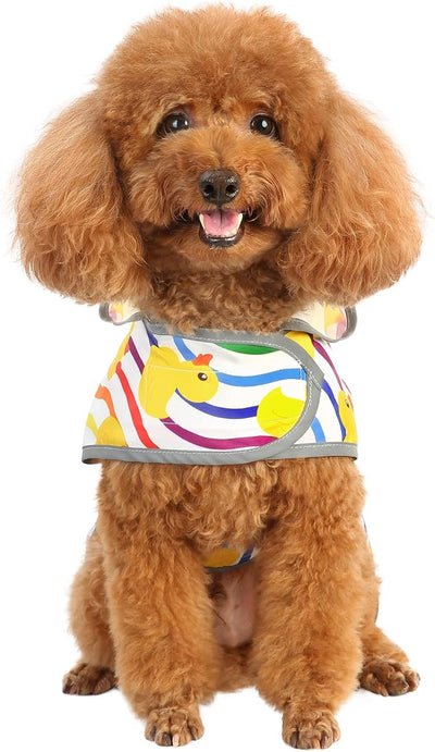 Dog Raincoat for Small Dogs Puppies Waterproof Jacket Hooded Rain Coats with Reflective Strips Leash Hole & Poncho Adjustable Fit (Rainbow,XS)