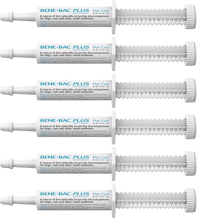PetAg Bene-Bac Plus Pet Gel - 15 g Syringe, Pack of 6 - FOS & Probiotics for Dogs, Cats, Exotic & Wildlife Mammals