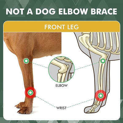 Pair of Dog Leg Braces for Front Hock Joint, Dog Front Leg Wrist Brace with Metal Spring Inserts, Dog Leg Sleeve with Reflective Straps, Prevents Injuries and Sprains, M/L