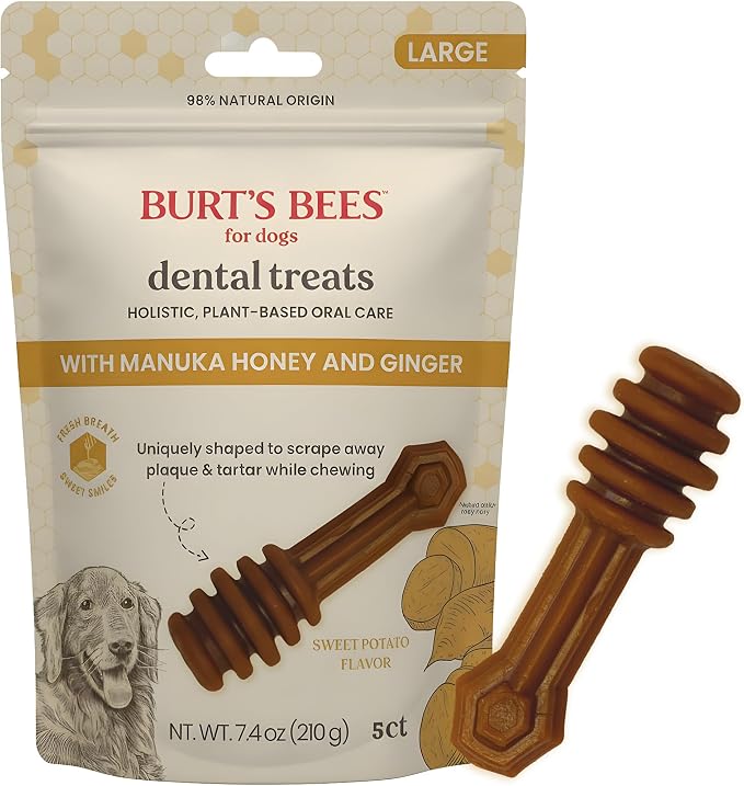 BURT'S BEES FOR PETS Dental Treats for Dogs with Manuka Honey & Ginger, 98% Natural Origin, Holistic Oral Care, Freshens Breath, Sweet Potato Flavor, Medium/Large Size, 5 ct, 7.4 Oz