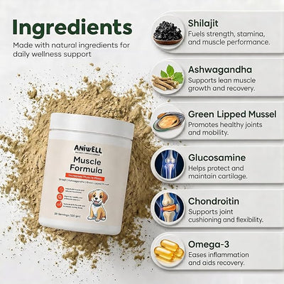 Muscle Formula for Dogs – Glucosamine Chondroitin, Green Lipped Mussel | Shilajit, Ashwagandha | Hip and Joint Supplement for Dogs Muscle Strength & Mobility | Dog Joint Supplement | Pack of 3
