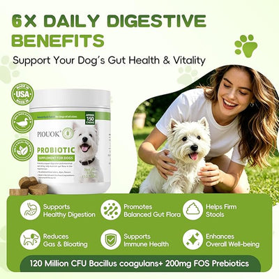 Probiotics for Dogs - 150 Soft Chew, Dog Probiotics for Digestive Health and Diarrhea, Allergies & Immune Support Dog Probiotic Supplement, Daily Probiotics for All Dogs, Natural Duck Flavor