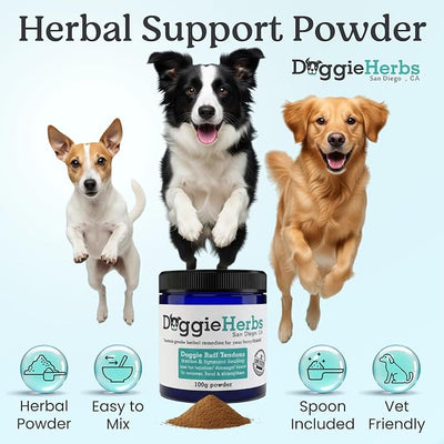 Advanced Ligament & Tendon Support- CCL, ACL & Cruciate Injury Recovery, Strain & Mobility Formula- TCM Doctor Formulated Powder with Teasel, Drynaria & Eucommia for Soft Tissue Strength