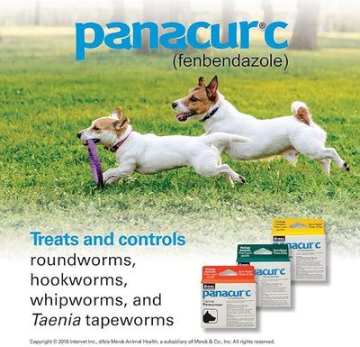 Panacur C Canine Dewormer (fenbendazole), 2 gram,White