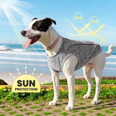 PETCARE Sun Protection Dog Shirts for Small Dogs Quick Dry Soft Stretchy Dog T-Shirts with Reflective Label Tank Top Sleeveless Vest Pet Clothes, Athletic Fabric, Grey, XS (Chest 13" Length 9.8")