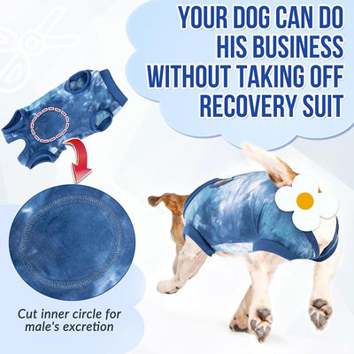Lukovee Recovery Suit for Dogs, Onesie Surgery Recovery Suit for Female Male Dogs, Abdominal Wounds Cone E-Collar Alternative Prevent Licking Spay Recovery Suit (T-Blue,XXL)
