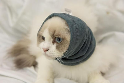 Cat Ear Cover Keep Calm for cat Ear Wrap Hematoma Compression Comfort Anxiety Relief for Bathing, Grooming, Thunderstorms & Fireworks Aqua Blue S