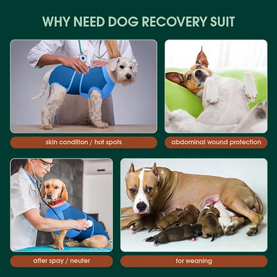 Kuoser Dog Recovery Suit, Female/Male Spay/Neuter Surgery Suit, Post-Surgery Anti-Licking Pet Onesie, Blue, XS