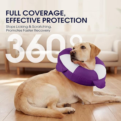 IECOii Inflatable Dog Recovery Collar, Comfortable Cone Alternative | Comfort Beyond the Cone | Pillow-Like Comfort | Full-View Freedom | Lick-Free Healing | Stay-Put Fit | Easy-Clean Design