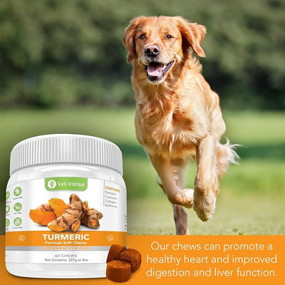 Turmeric for Dogs - Hip & Joint Supplement for Senior Dogs with Arthritis | Natural Anti Inflammatory Pain Relief | Organic Curcumin, Collagen & BioPerine | NASC Certified Made in USA - 60 Soft Chews
