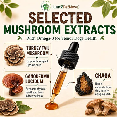 Turkey Tail Mushroom Extract for Senior Dog Lipoma Skin Lumps Tissue Repair | for Dogs & Cats Inflammation Balance, Organ Protection & Anti-Aging, Immune Health, Anxiety Relief, Dual Extraction Process