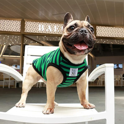 iChoue French Bulldog 100% Breathable Cotton Striped T Shirts Halloween Vest Clothes for Medium Dogs Tank Tops Frenchie Pug English Boston Terrier Pitbull Green Black Stripes - Large Plus