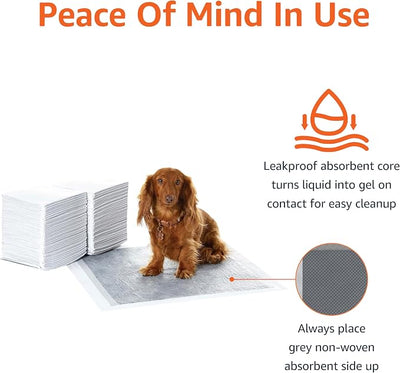 Amazon Basics Carbon Odor Control Dog and Puppy Pee Pads, 5-Layer Leak-Proof Super Absorbent, Quick-Dry Surface for Potty Training, Regular Size 22"x22", Gray, 80 Count