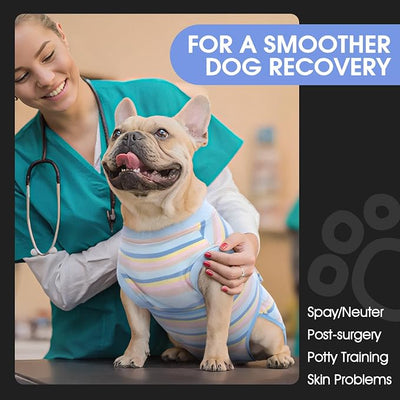 FUAMEY Recovery Suit for Dogs After Surgery,Soft Breathable Dog Bodysuit E-Collar & Cone Alternative Surgical Suit, Male Dogs Neuter Suits Dog Onesie for Surgery Female Blue Yellow Stripes L