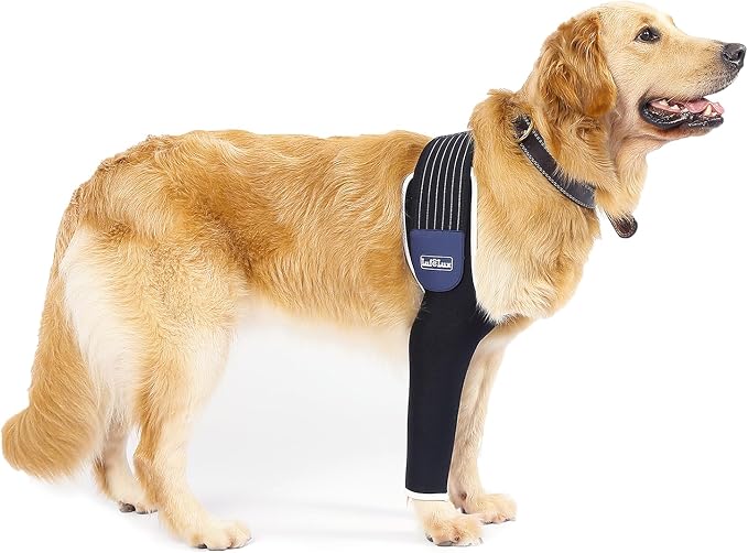 Dog Leg Sleeve, Medical Dog Cone Alternative, Shoulder Protect Sleeve for Dogs with Strechy Adjustable Elastic Band, for Hot Spots, Wounds, Bandages, Prevent Licking Elbow Brace Protector | Prevent Licking Ensure Faster Recovery, Cone Alternative, Brea...