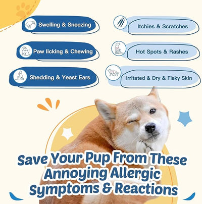 ZEBORA Dog Allergy Chews, Support Seasonal Allergies & Itch Relief, Probiotics + Omega-3 + Colostrum - for Gut & Immune Health, 120 Freeze Dried Chews