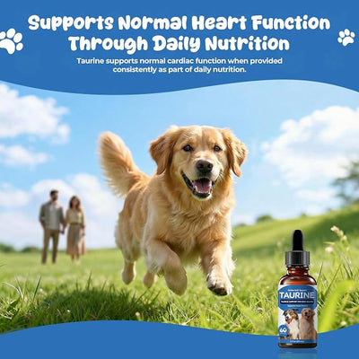 Taurine Liquid Supplement for Dogs, Daily Amino Acid Drops Supporting Heart & Muscle Function, Energy Balance & Physical Stability, 60 ml
