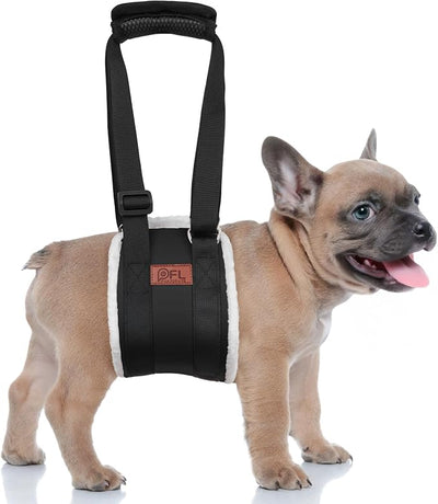 Adjustable Dog Lift Harness, Dog Sling for Small Dogs Lift Support and Rehab Harness for Weak Rear Legs, Soft Hind Leg Support Helps Senior, Injured, Disabled and After ACL Surgery Dogs(Black,Small)