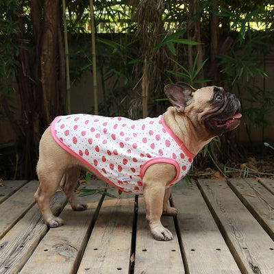 iChoue 100% Breathable Cotton French Bulldog Halloween Cartoon T Shirts Cute Clothes for Medium Dogs Vest Tank Tops Frenchie English Boston Terrier Pitbull Strawberry - Large Plus